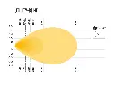 Photometric-Utility-80-HD_1000x750.webp
